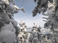 Parc national du Mont-Mégantic -Secteur de l'Observatoire